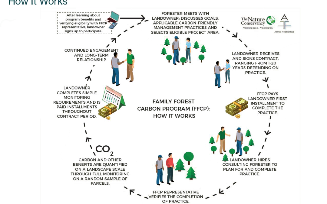 A Lil’ About the Family Forest Carbon Program