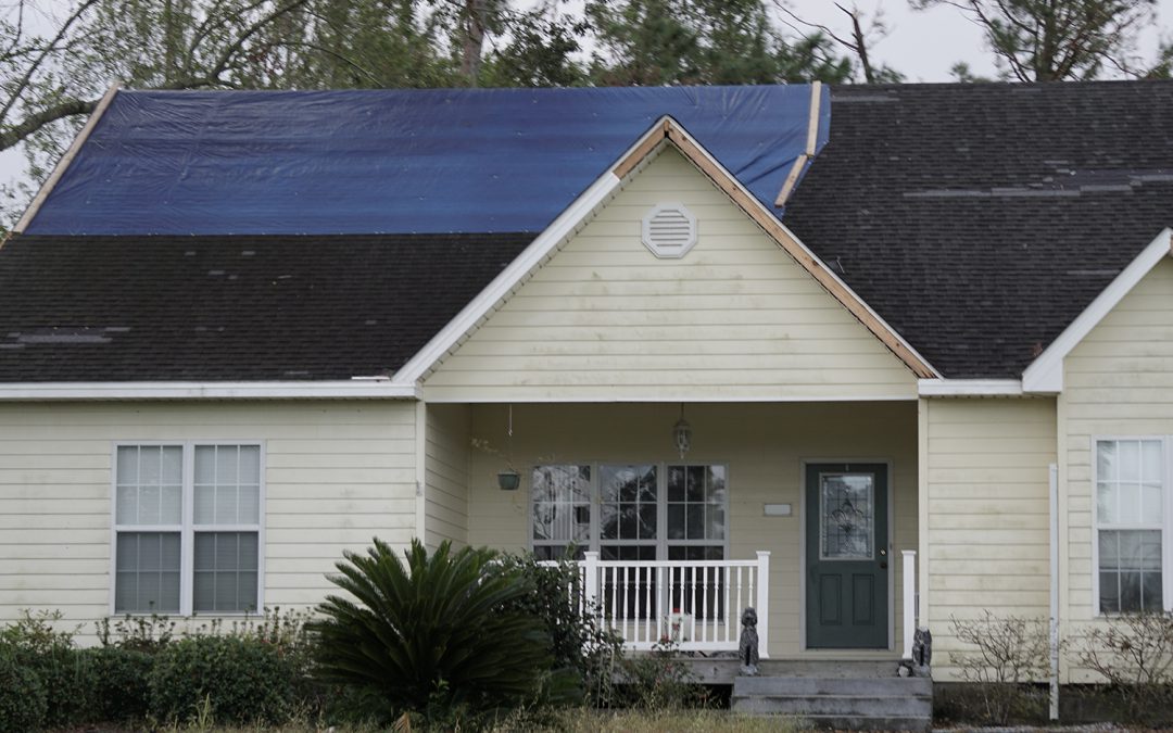 Sally Strips Shingles Down by the Gulf Shores