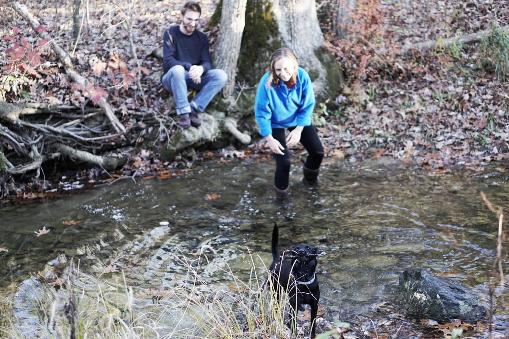 LBC The Water Petal Sustaining Tree