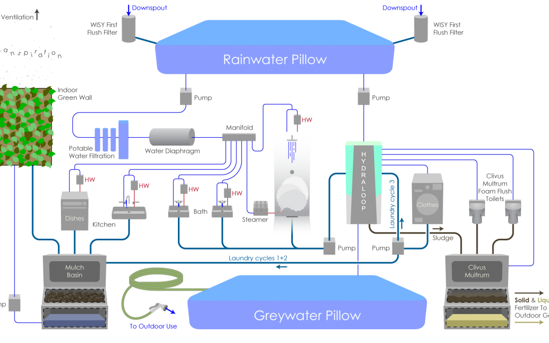 The Water Cycle of The Seed III?